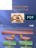 BIOMAG MASCOTAS.pdf · versión 1