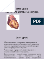 Строение и Работа Сердца