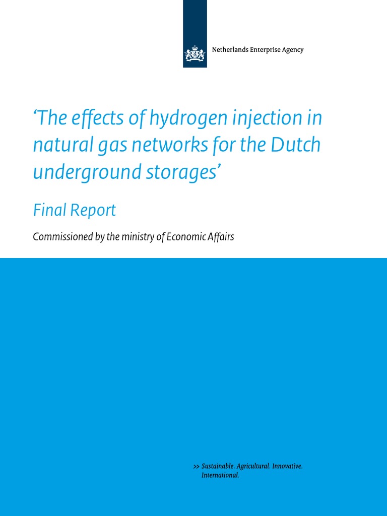 The Effects of Hydrogen Injection in Natural Gas Networks For The Dutch ...