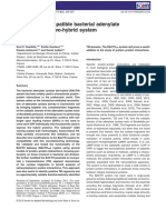 A Gateway - Compatible Bacterial Adenylate Cyclase-Based Two-Hybrid System