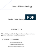 Amity Institute of Biotechnology: Faculty: Pankaj Sharma, PHD