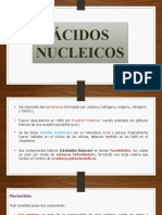 Ácidos Nucleicos Quinto