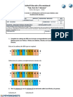 Plantilla - ADN