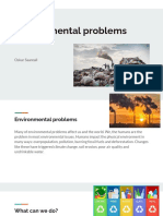 Environmental Problems: Oskar Saareall