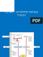 עקרונות פיזיולוגיים - מערכת הבקרה