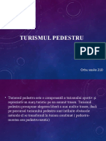 Turismul Pedestru