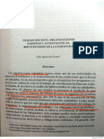 Trabajo Decente, Org. Positivas y Autentizoticas Aparecida 2017