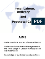 Normal Labor - AMTSL