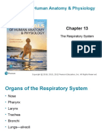 Ch13 Respiratory Presentation