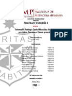 Informe 14 - Patología Genital Masculina. Hiperplasia Prostática, Seminoma, Cáncer Prostático