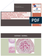 Clase 09.- Patologia Digestiva i (17 Noviembre 2020) (1)