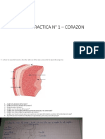 GUIA PRACTICA N° 1 – CORAZON JairGabrielCalderon