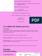 Actividad 2 - Cuadro Comparativo Sobre La Estructura y Función de Las Células Del Sistema Nervioso