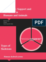 Chapter 14: Support and Movement in Humans and Animals