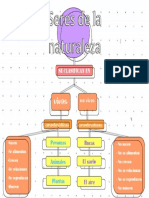 Esquema Biologia