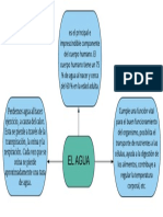 Mapa Mental Del Agua