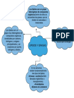 Mapa Mental Grasas