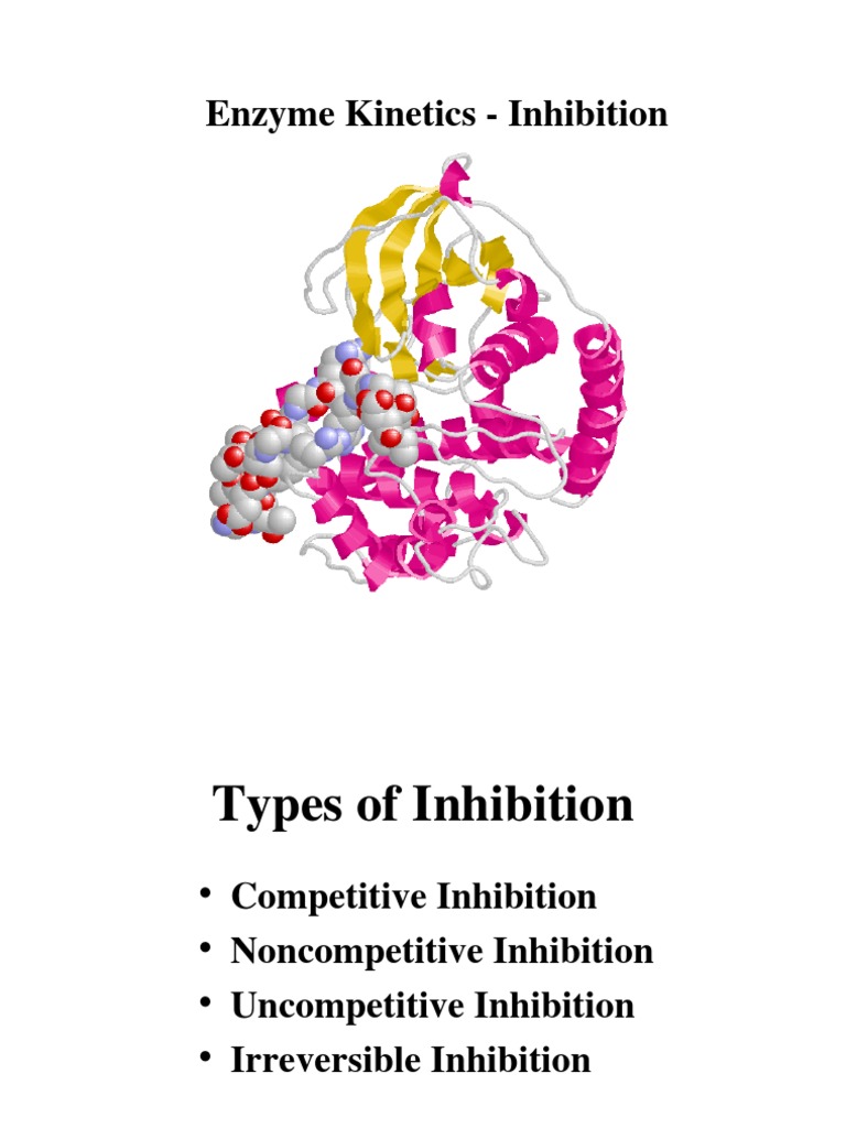 Enzyme Inhibition Types Explained | PDF | Enzyme Inhibitor | Enzyme ...