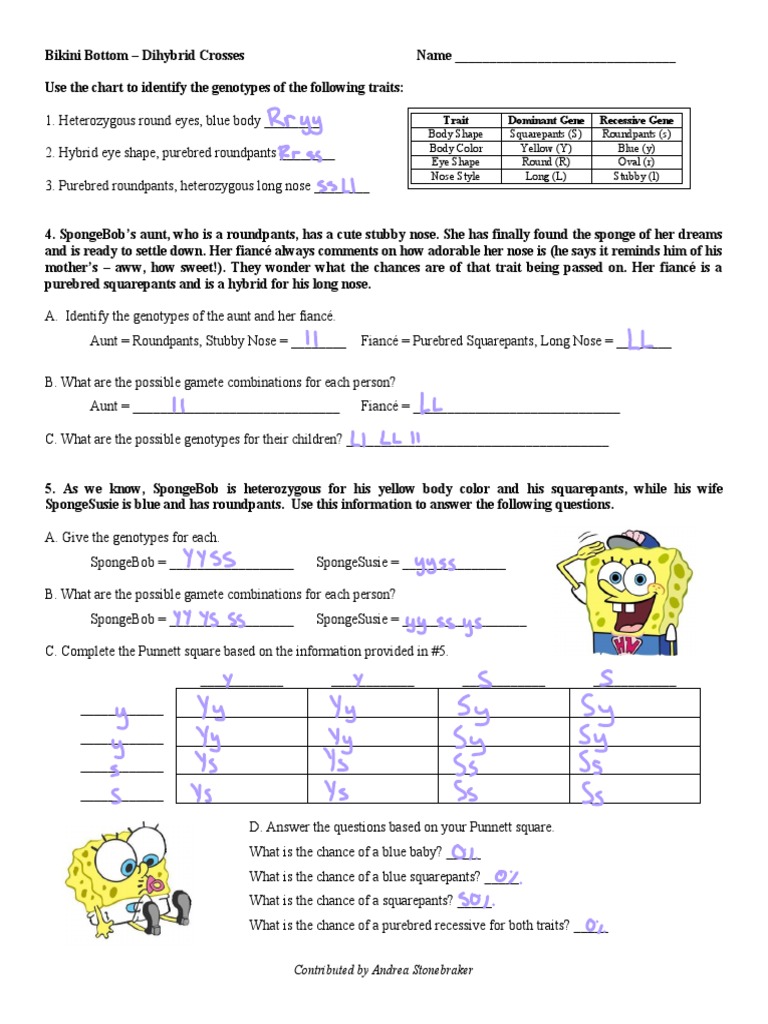 Bikini Bottom Dihybrid Cross Practice | PDF | Dominance (Genetics) |  Genotype, image size:768x1024