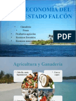 Economía de Falcon