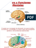 @ Cerebro y Funciones Mentales - ==== - ====,====
