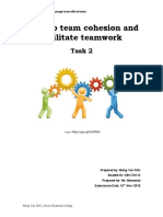 Develop Team Cohesion and Facilitate Teamwork: Task 2