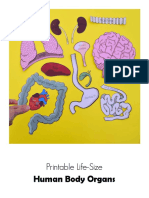 Human Body Organs: Printable Life-Size