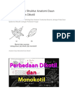 Perbandingan Struktur Anatomi Daun Monokotil Dan Dikotil