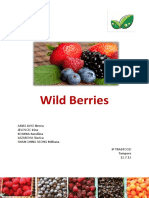 Wild Berries Finlanda