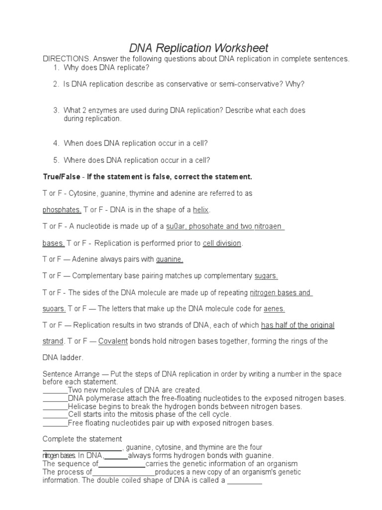 DNA Replication Worksheet  Dna Replication  Dna Within Dna Replication Worksheet Answers