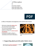 C-3a Good Impacts of Rhizosphere Microorganisms- Nguyên