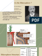 Present Plant Science - Đức