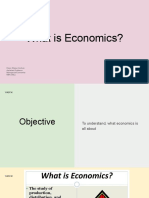 What Is Economics
