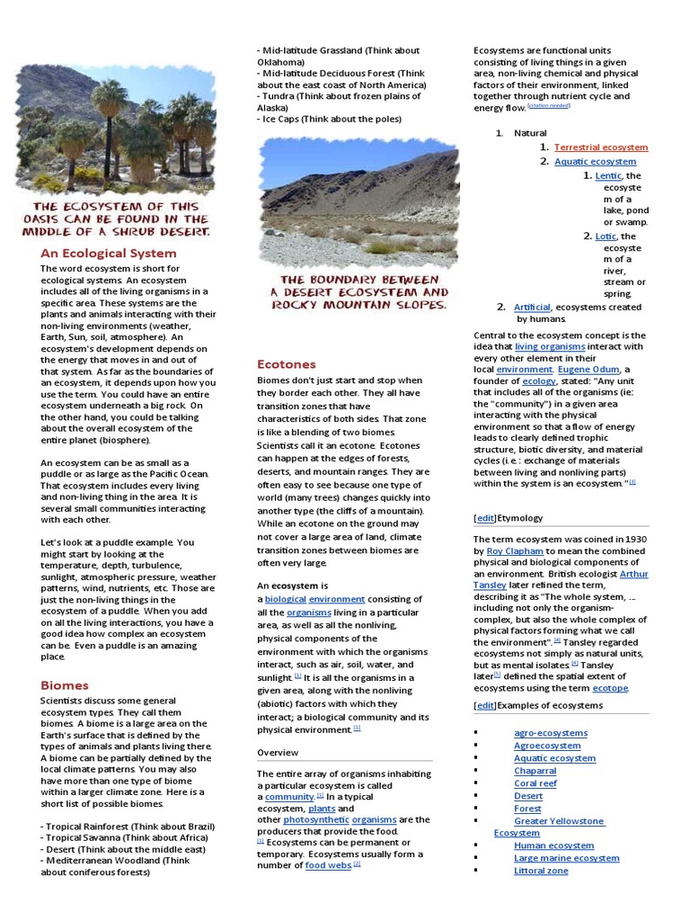 Understanding Ecosystems and Biomes | PDF | Ecosystem | Natural Environment