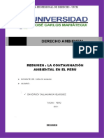 Contaminacion Ambiental en El Peru