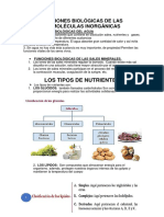 Funciones Biológicas de Las Biomoléculas Inorgánicas y Tipos de Nutrientes