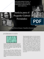 ANALIS ESTRUCTURAL - Y - FUNCIONAL - DEL - ESTADO - Justicia - para - Gabriel - Fernandez