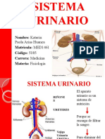 Ap. Urinario