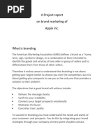 Download A Project report by Shilpa Nagotra SN50788185 doc pdf