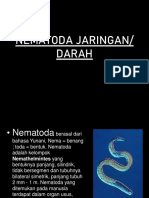 Nematoda Jaringan 1 A14