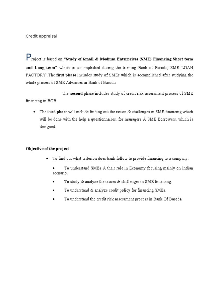 SME Financing and Credit Appraisal Analysis | PDF | Small And Medium ...