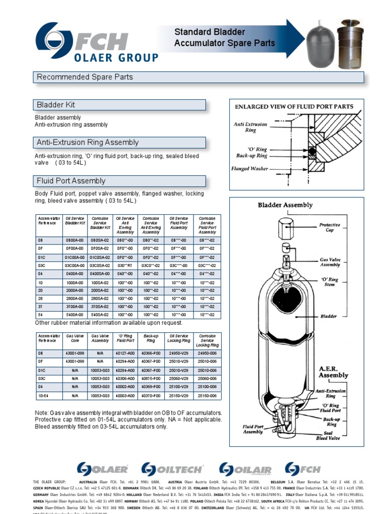 Bladder Accumulator Spare Parts Guide | PDF | Valve | Chemical Engineering