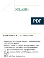 Ders 16-Fetal Dolaşım