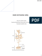 Ders 01-Sinir Sistemine Giris