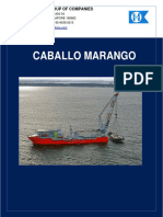 0 - Caballo Marango Specification 2016 (002)