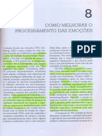 Como Melhorar o Processamento Das Emoções (Cap 8 Livro REGULAÇÃO EMOCIONAL EM PSICOTERAPIA)