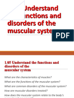 1.05 Understand The Functions and Disorders of The Muscular System