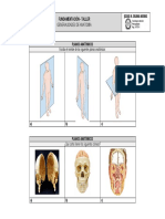Taller - Generalidades de Anatomía