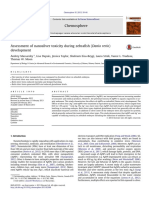Assessment of nanosilver toxicity during zebrafish
