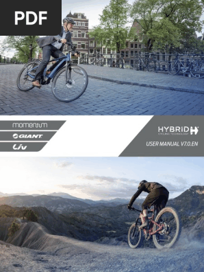 gepolsterte fahrradhandschuhe Grebarley Gepolsterte, rutschfeste Mountainbike-Handschuhe – Sport Depot  Shop